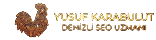 Denizli SEO Uzmanı